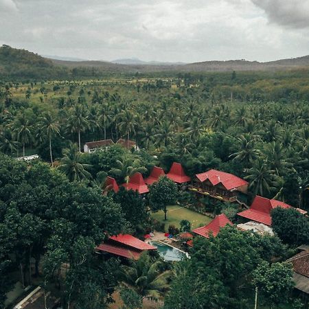 Mojosurf Camp Red Island Otel Pasanggaran Dış mekan fotoğraf
